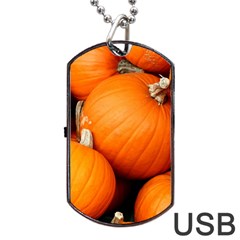 Pumpkins 1 Dog Tag Usb Flash (one Side) by trendistuff