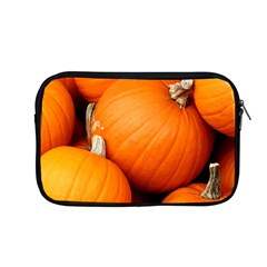 Pumpkins 1 Apple Macbook Pro 13  Zipper Case by trendistuff