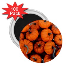 Pumpkins 2 2 25  Magnets (100 Pack)  by trendistuff