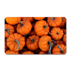 Pumpkins 2 Magnet (rectangular) by trendistuff