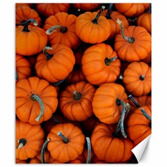 Pumpkins 2 Canvas 20  X 24   by trendistuff