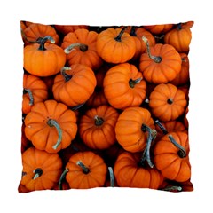 Pumpkins 2 Standard Cushion Case (two Sides) by trendistuff