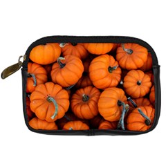 Pumpkins 2 Digital Camera Cases by trendistuff