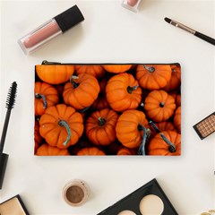 Pumpkins 2 Cosmetic Bag (medium)  by trendistuff