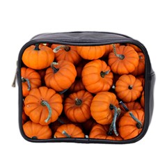 Pumpkins 2 Mini Toiletries Bag 2-side by trendistuff