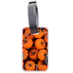 Pumpkins 2 Luggage Tags (two Sides) by trendistuff