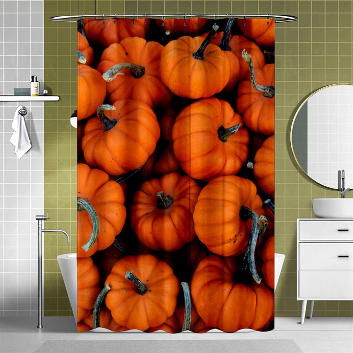 PUMPKINS 2 Shower Curtain 48  x 72  (Small) 