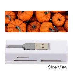 Pumpkins 2 Memory Card Reader (stick)  by trendistuff