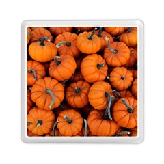 Pumpkins 2 Memory Card Reader (square)  by trendistuff