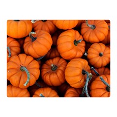 Pumpkins 2 Double Sided Flano Blanket (mini)  by trendistuff