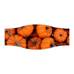 Pumpkins 2 Stretchable Headband by trendistuff