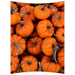 Pumpkins 2 Back Support Cushion