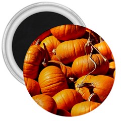 Pumpkins 3 3  Magnets by trendistuff