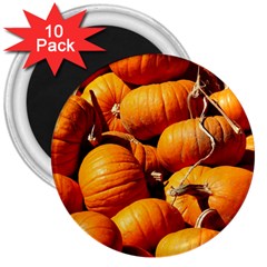 Pumpkins 3 3  Magnets (10 Pack)  by trendistuff