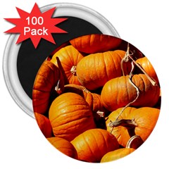 Pumpkins 3 3  Magnets (100 Pack) by trendistuff