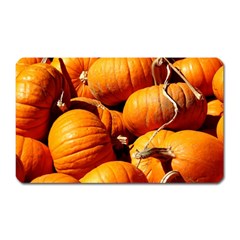 Pumpkins 3 Magnet (rectangular) by trendistuff