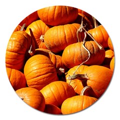 Pumpkins 3 Magnet 5  (round) by trendistuff