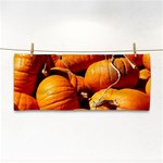 PUMPKINS 3 Cosmetic Storage Cases Front