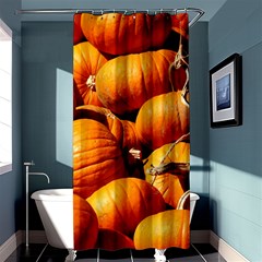 Pumpkins 3 Shower Curtain 36  X 72  (stall)  by trendistuff