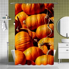 Pumpkins 3 Shower Curtain 48  X 72  (small)  by trendistuff