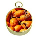 PUMPKINS 3 Gold Compasses Front