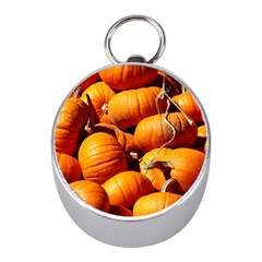 Pumpkins 3 Mini Silver Compasses by trendistuff