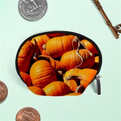 Pumpkins 3 Accessory Pouches (small)  by trendistuff