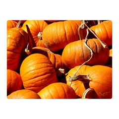 Pumpkins 3 Double Sided Flano Blanket (mini)  by trendistuff