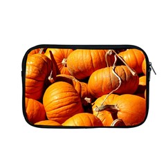 Pumpkins 3 Apple Macbook Pro 13  Zipper Case by trendistuff