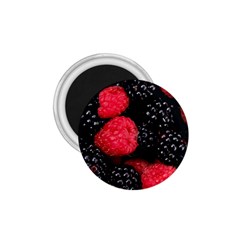 RASPBERRIES 1 1.75  Magnets