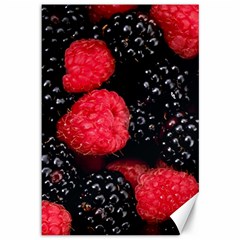 Raspberries 1 Canvas 12  X 18   by trendistuff