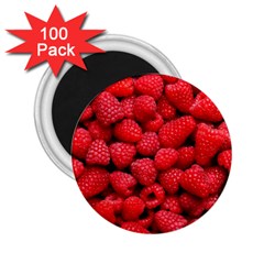 Raspberries 2 2 25  Magnets (100 Pack)  by trendistuff