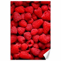 Raspberries 2 Canvas 12  X 18   by trendistuff