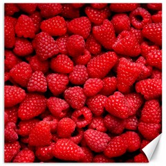 Raspberries 2 Canvas 20  X 20   by trendistuff