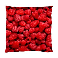 Raspberries 2 Standard Cushion Case (one Side) by trendistuff