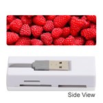 RASPBERRIES 2 Memory Card Reader (Stick)  Front