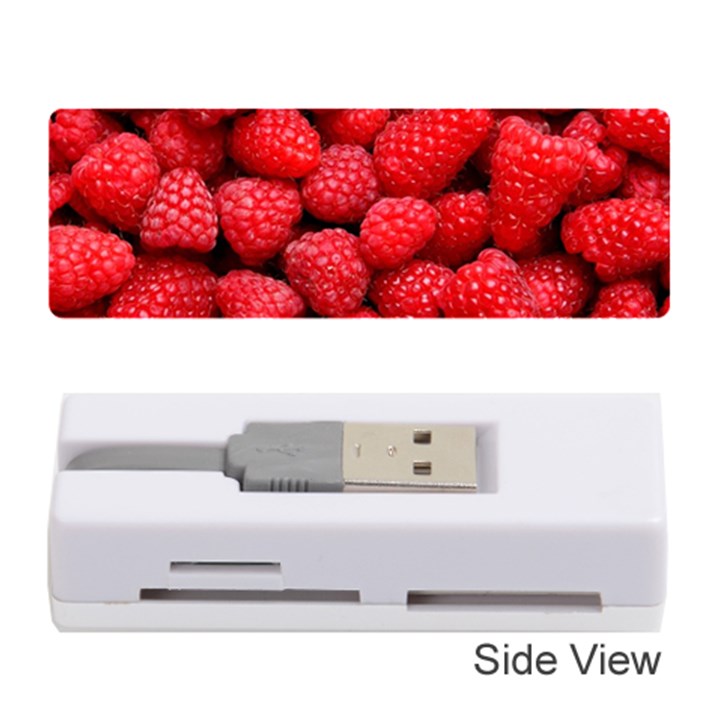 RASPBERRIES 2 Memory Card Reader (Stick) 