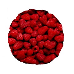 Raspberries 2 Standard 15  Premium Flano Round Cushions by trendistuff