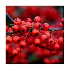 Red Berries 1 Tile Coasters by trendistuff