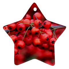 Red Berries 1 Ornament (star) by trendistuff