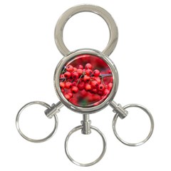 Red Berries 1 3-ring Key Chains by trendistuff