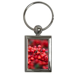 Red Berries 1 Key Chains (rectangle)  by trendistuff