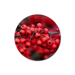 Red Berries 1 Rubber Coaster (round)  by trendistuff