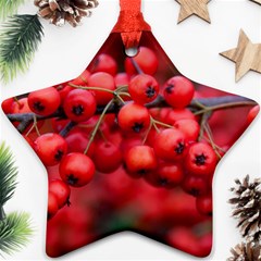 Red Berries 1 Star Ornament (two Sides) by trendistuff