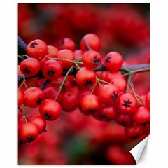 Red Berries 1 Canvas 16  X 20   by trendistuff