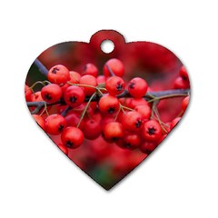 Red Berries 1 Dog Tag Heart (one Side) by trendistuff