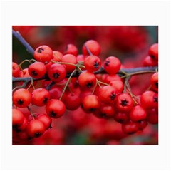 Red Berries 1 Small Glasses Cloth (2-side) by trendistuff