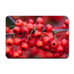 Red Berries 1 Small Doormat  by trendistuff