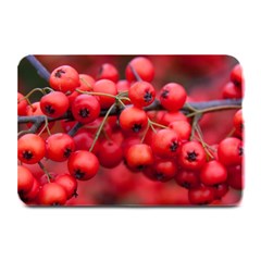 Red Berries 1 Plate Mats by trendistuff