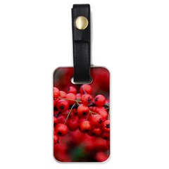 Red Berries 1 Luggage Tags (one Side)  by trendistuff